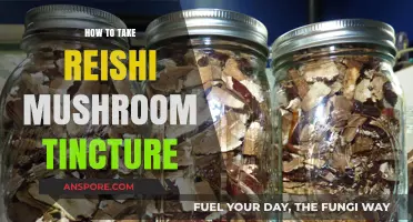 Unlock Reishi's Benefits: A Guide to Taking Mushroom Tincture