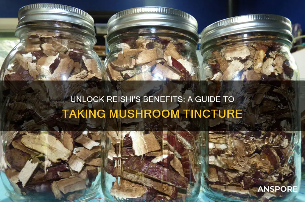 how to take reishi mushroom tincture