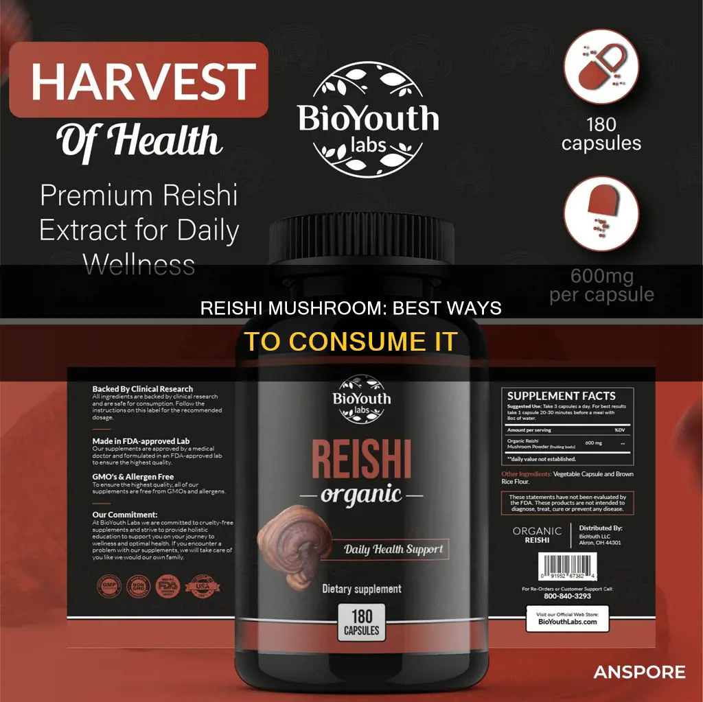 how to take reishi mushroom