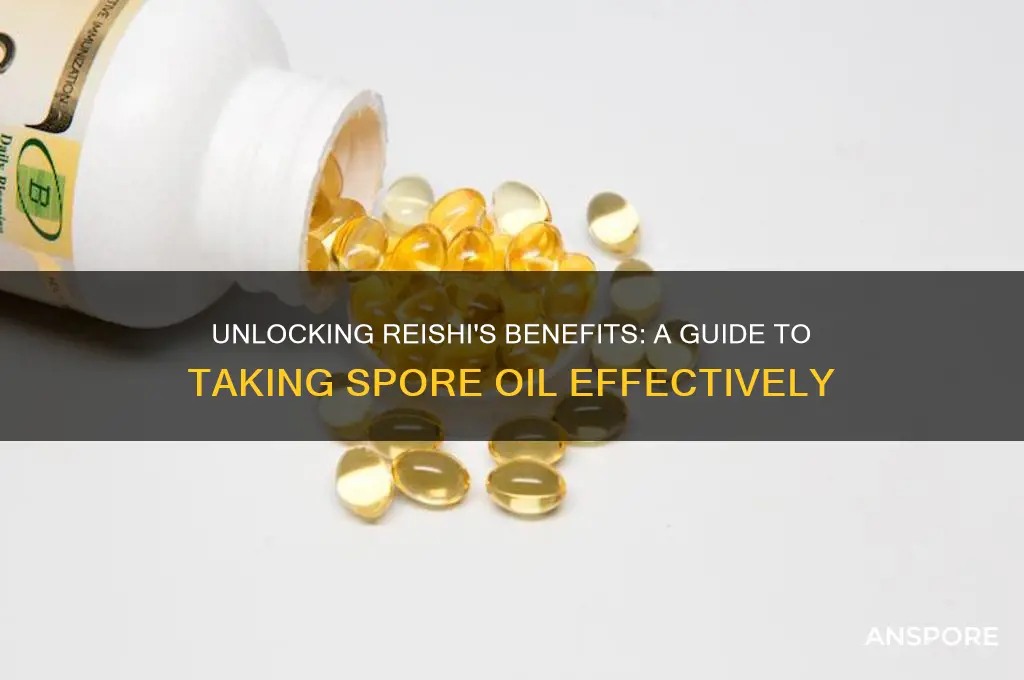 how to take reishi spore oil
