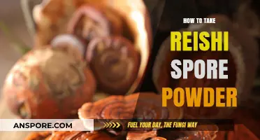 Unlocking Reishi's Benefits: A Guide to Taking Spore Powder