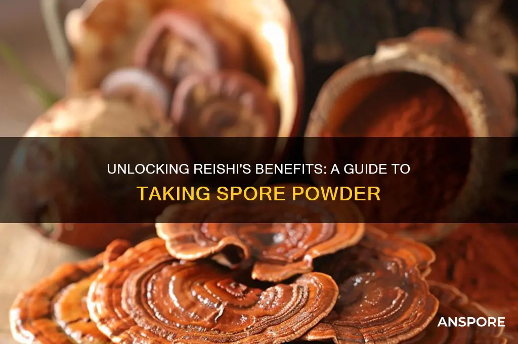 how to take reishi spore powder