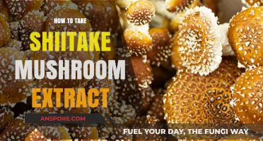 Unlocking Shiitake's Power: A Guide to Taking Mushroom Extract