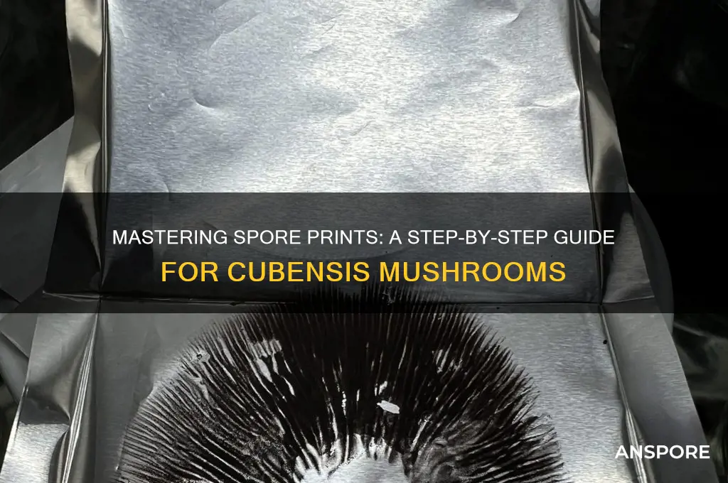 how to take spore prints cubensis