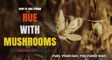 Enhancing Mushroom Experiences: A Guide to Combining Syrian Rue Safely