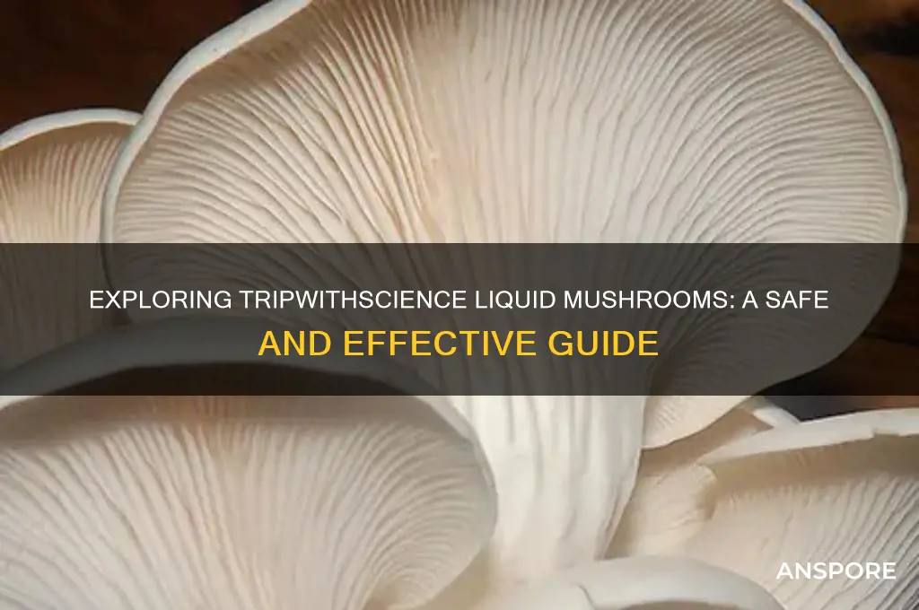 how to take tripwithscience liquid mushrooms