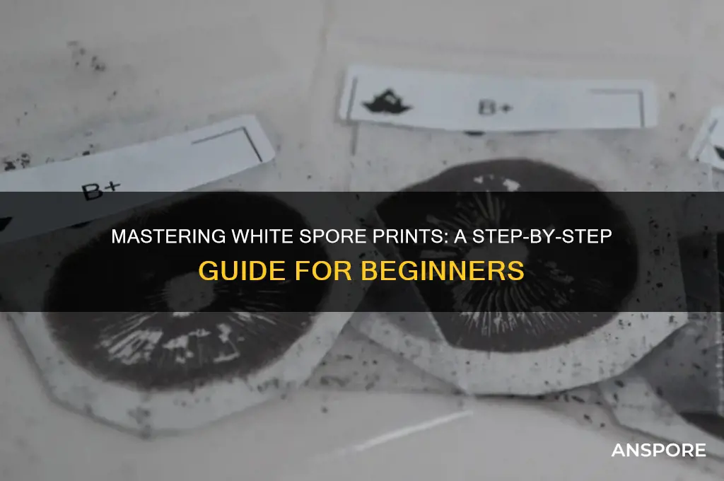 how to take white spore prints