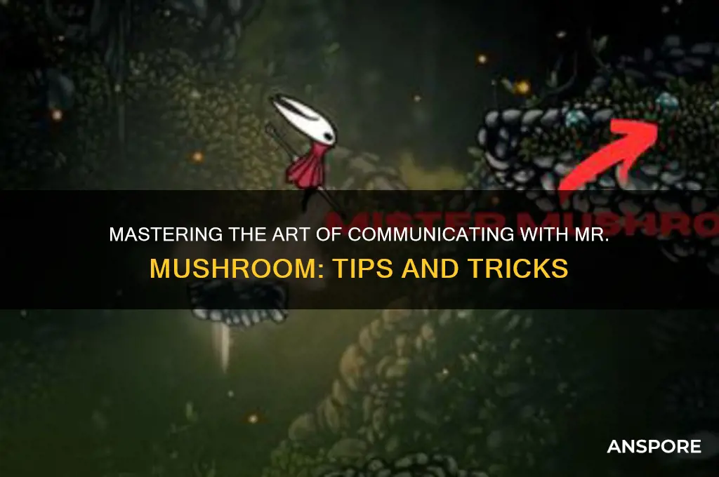 how to talk to mr mushroom