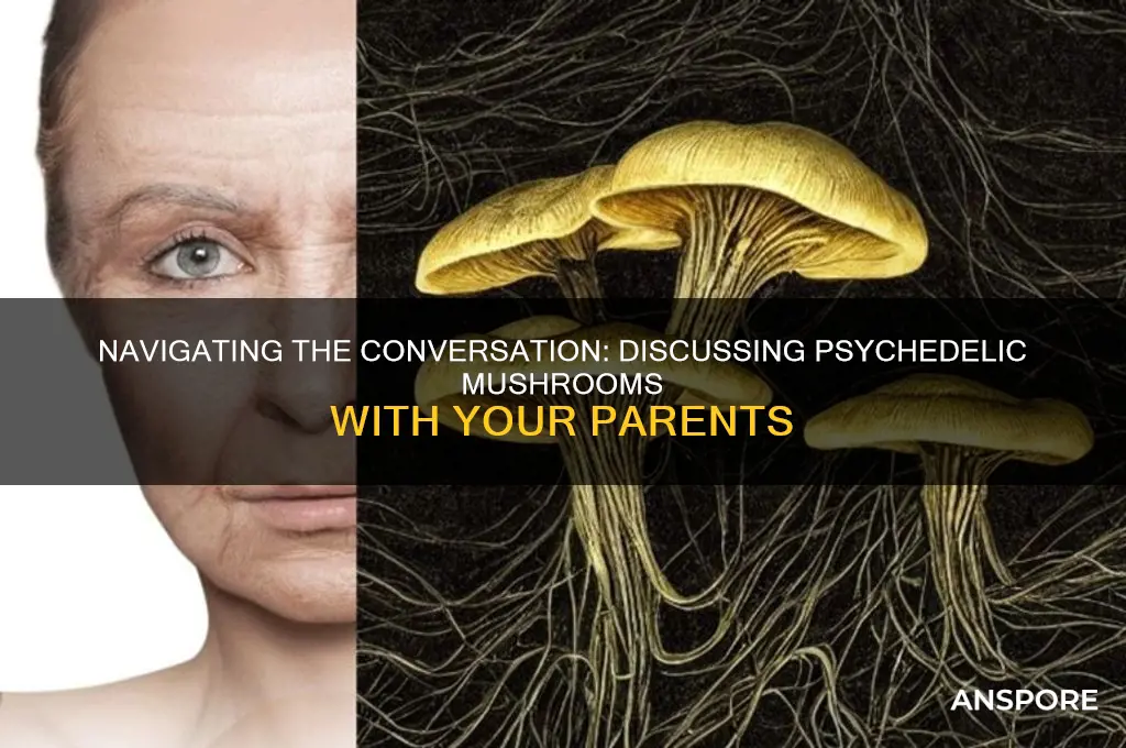 how to talk to your parents about psyadelic mushrooms reddti