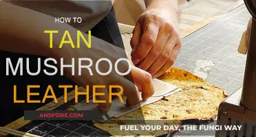 Tanning Mushroom Leather: A Step-by-Step Guide