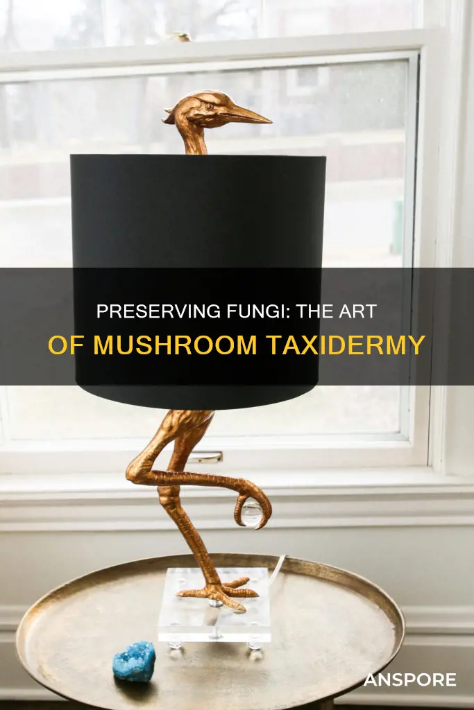 how to taxidermy a mushroom