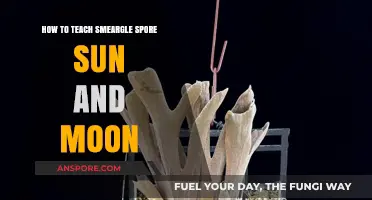 Mastering Smeargle's Spore Move in Pokémon Sun and Moon