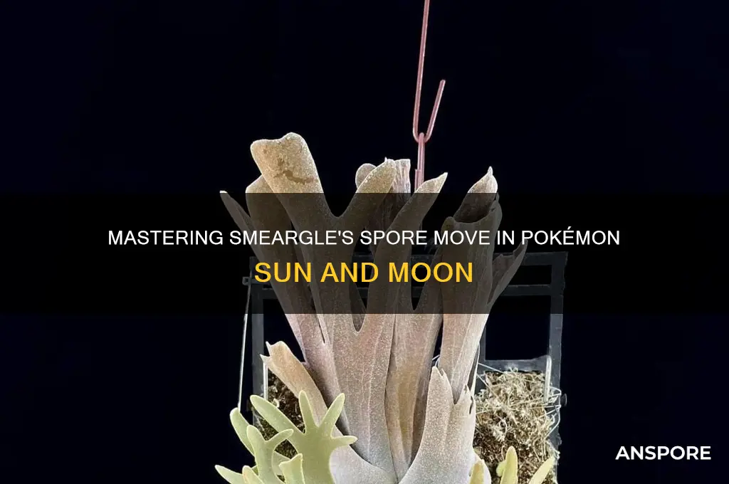 how to teach smeargle spore sun and moon