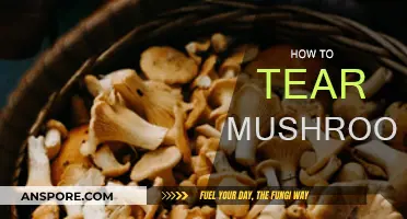 Tearing Mushrooms: The Right Way to Prepare Them