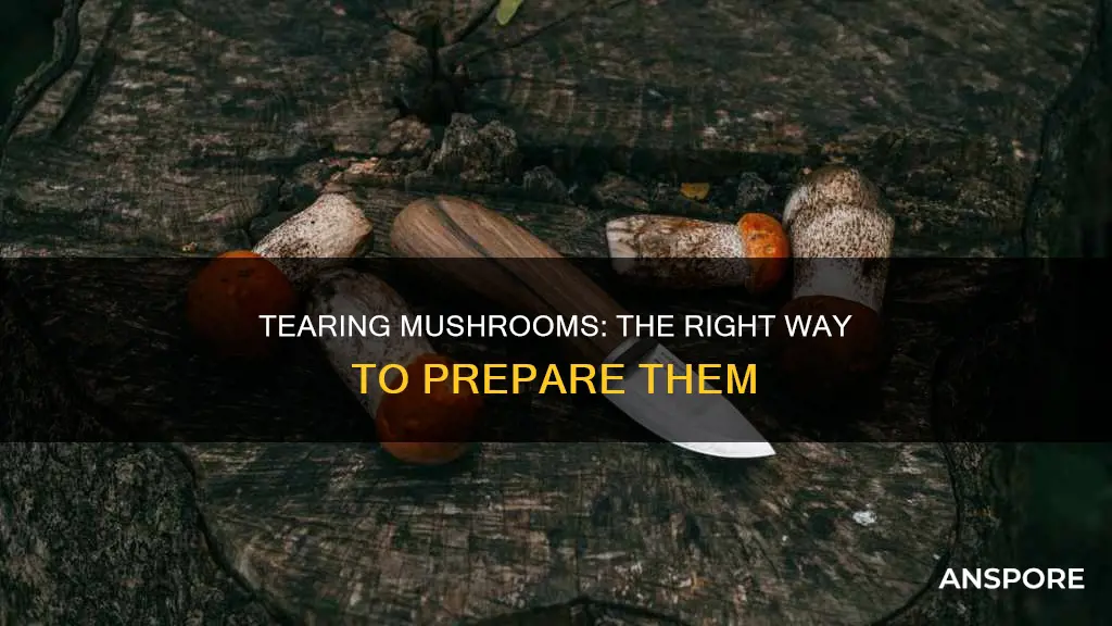 how to tear mushrooms