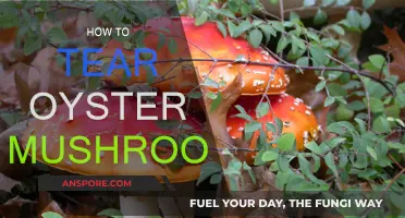 Tearing Oyster Mushrooms: The Right Way