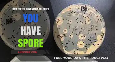 Counting Colonies in Spore: A Simple Guide to Tracking Your Empire