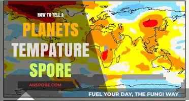 Measuring Planetary Temperatures: Techniques to Identify a Planet's Thermal Spore
