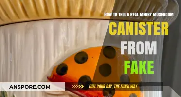 Spotting Real Merry Mushroom Canisters: A Guide to Avoid Fakes
