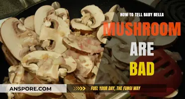 Spotting Spoiled Baby Bella Mushrooms: Signs of Bad Quality