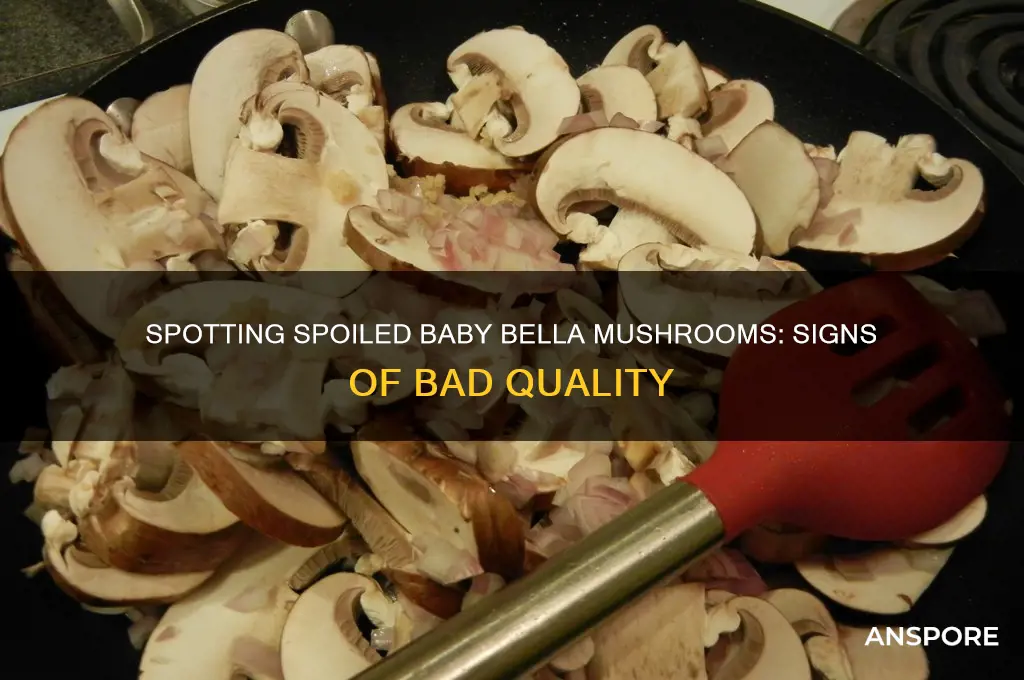 how to tell baby bella mushrooms are bad