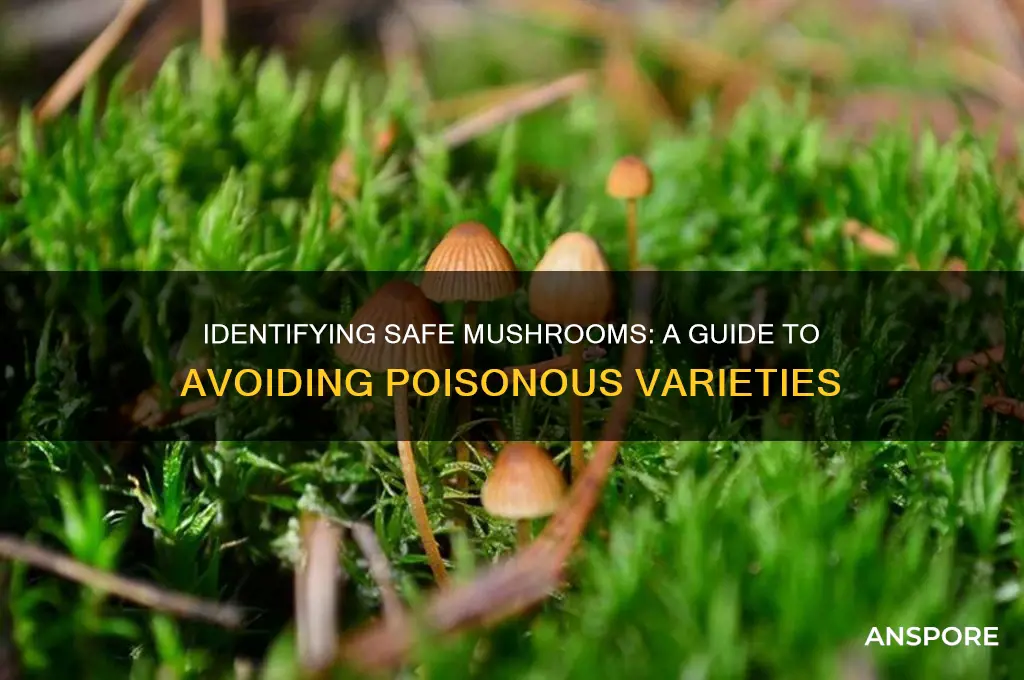 how to tell good mushrooms from poisonous