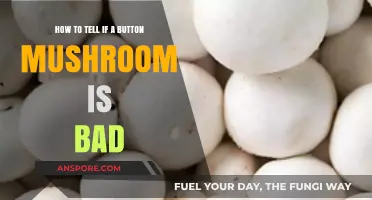 How to Spot Spoiled Button Mushrooms: A Quick Guide