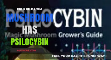 Identifying Psilocybin in Fresh Mushrooms: A Beginner's Visual Guide