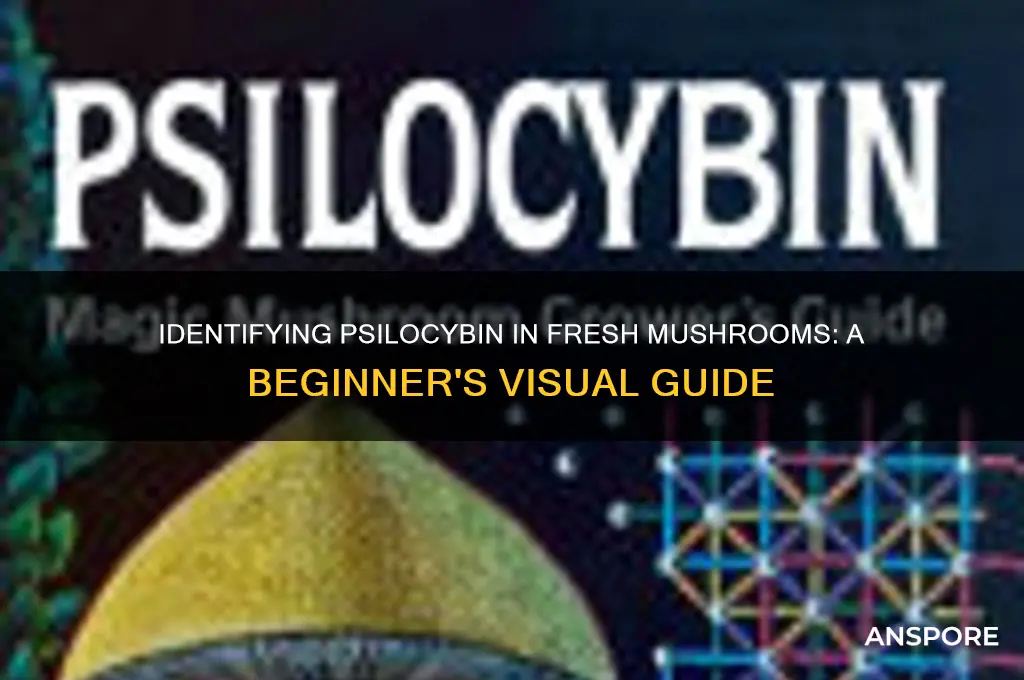 how to tell if a fresh mushroom has psilocybin