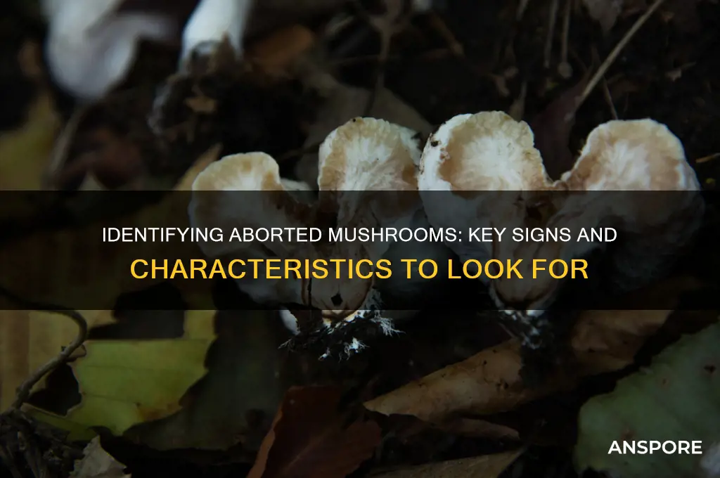 how to tell if a mushroom aborted