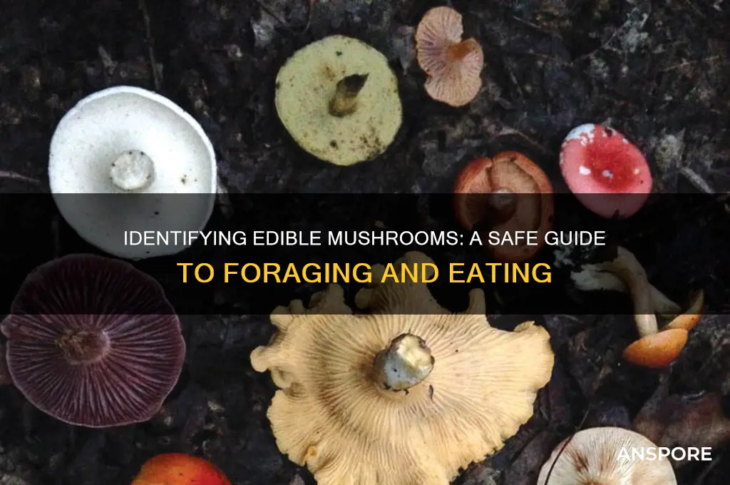 how to tell if a mushroom is eatable
