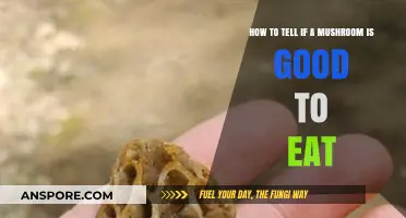 Identifying Edible Mushrooms: A Safe Guide to Foraging and Eating