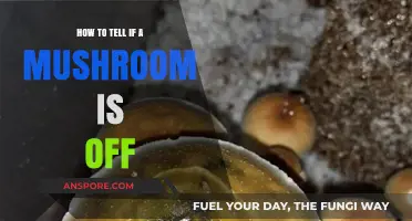 Spotting Spoiled Mushrooms: Signs to Check Before Cooking