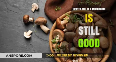 Identifying Fresh Mushrooms: Signs Your Fungus is Still Edible and Safe
