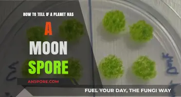 Identifying Moon Spores: A Guide to Detecting Lunar Life Signs