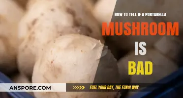 Spotting Spoiled Portabellas: Signs Your Mushroom Has Gone Bad