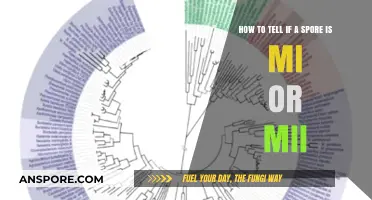 Identifying Spore Types: Key Differences Between Mi and Mii Explained