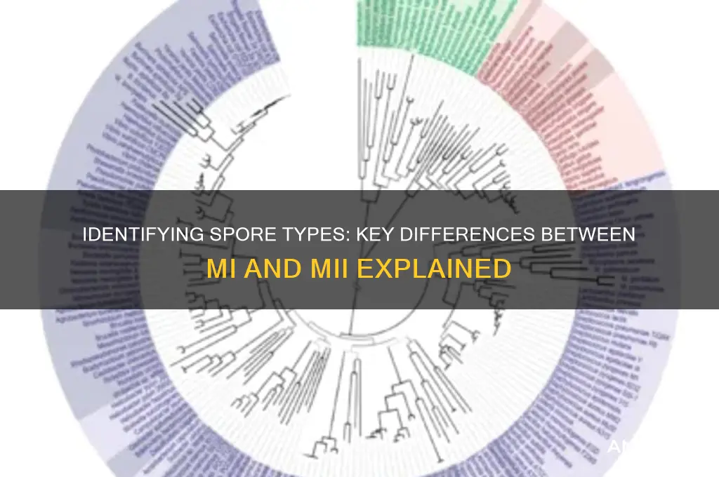 how to tell if a spore is mi or mii