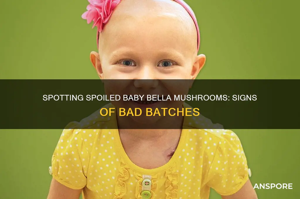how to tell if baby bella mushroom have gone bad