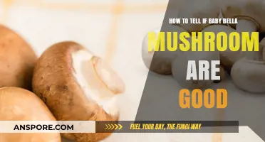 Identifying Fresh Baby Bella Mushrooms: A Guide to Quality and Taste