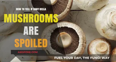 Identifying Spoiled Baby Bella Mushrooms: Signs and Safety Tips