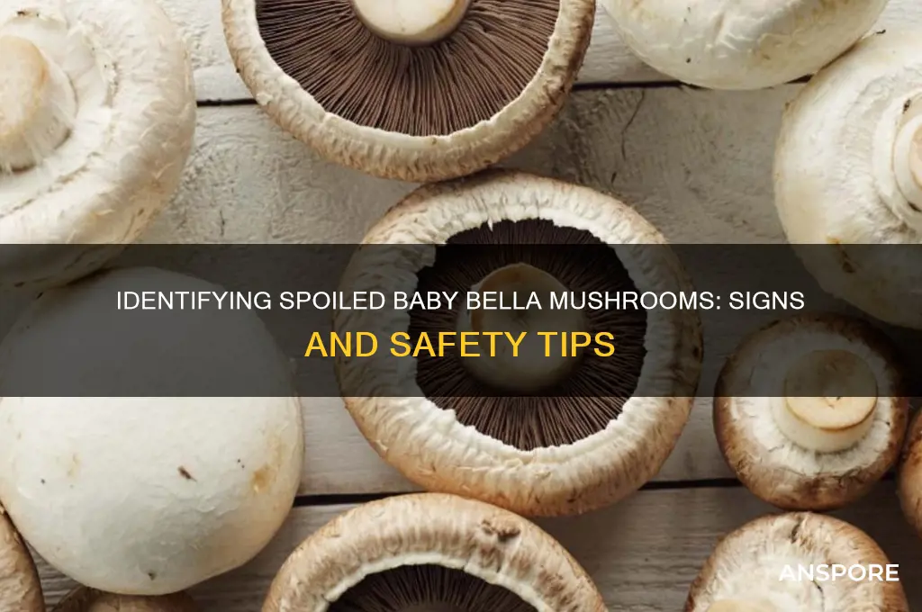 how to tell if baby bella mushrooms are spoiled
