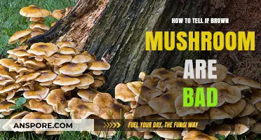 Identifying Spoiled Brown Mushrooms: Key Signs of Decay and Freshness