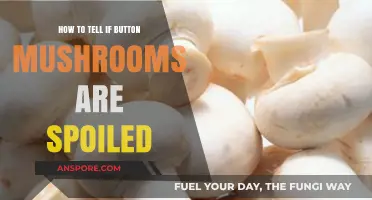 Identifying Spoiled Button Mushrooms: Signs, Smells, and Safety Tips