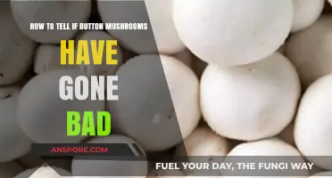 Spotting Spoiled Button Mushrooms: Signs of Bad Mushrooms to Avoid
