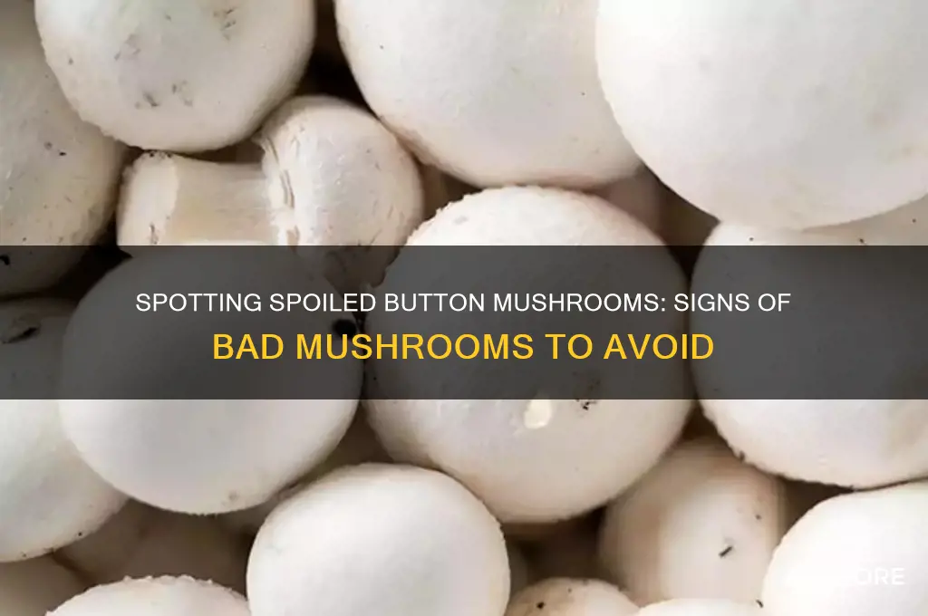 how to tell if button mushrooms have gone bad