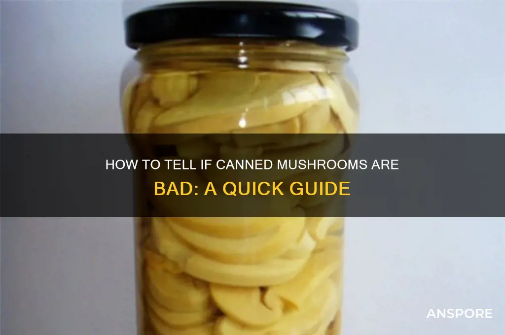 how to tell if canned mushrooms are bad