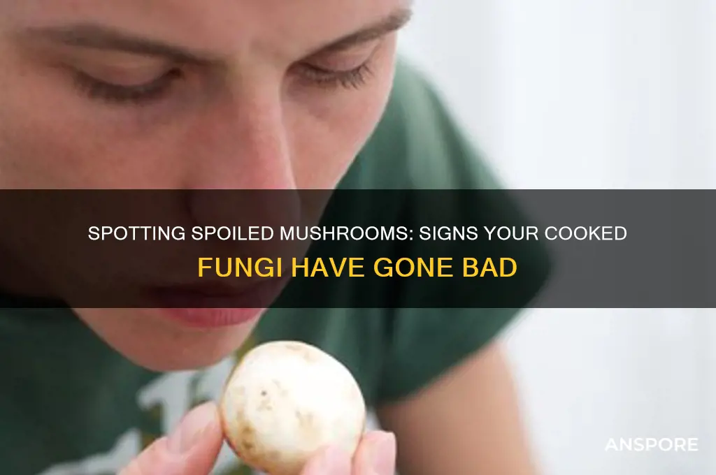how to tell if cooked mushrooms are bad