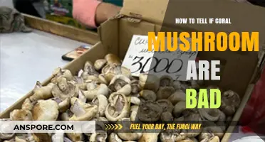 Identifying Spoiled Coral Mushrooms: Key Signs and Safety Tips