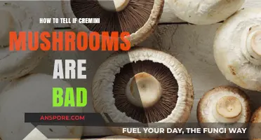 Spotting Spoiled Cremini Mushrooms: Signs of Bad Cremini to Avoid